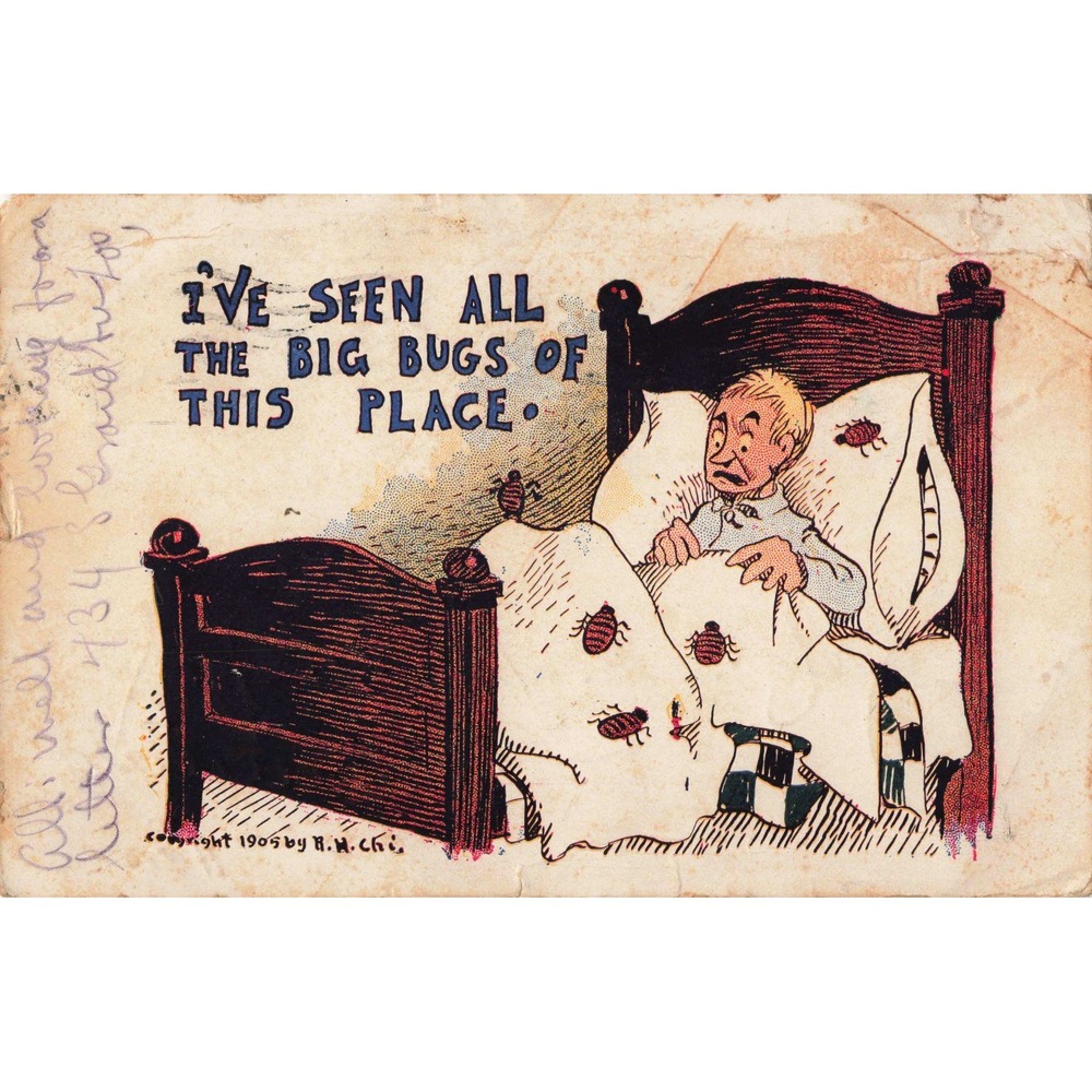 Comic Postcard 1905 Big Bugs Bed Bugs R.H. Chi Undivided Back Postmark 1906